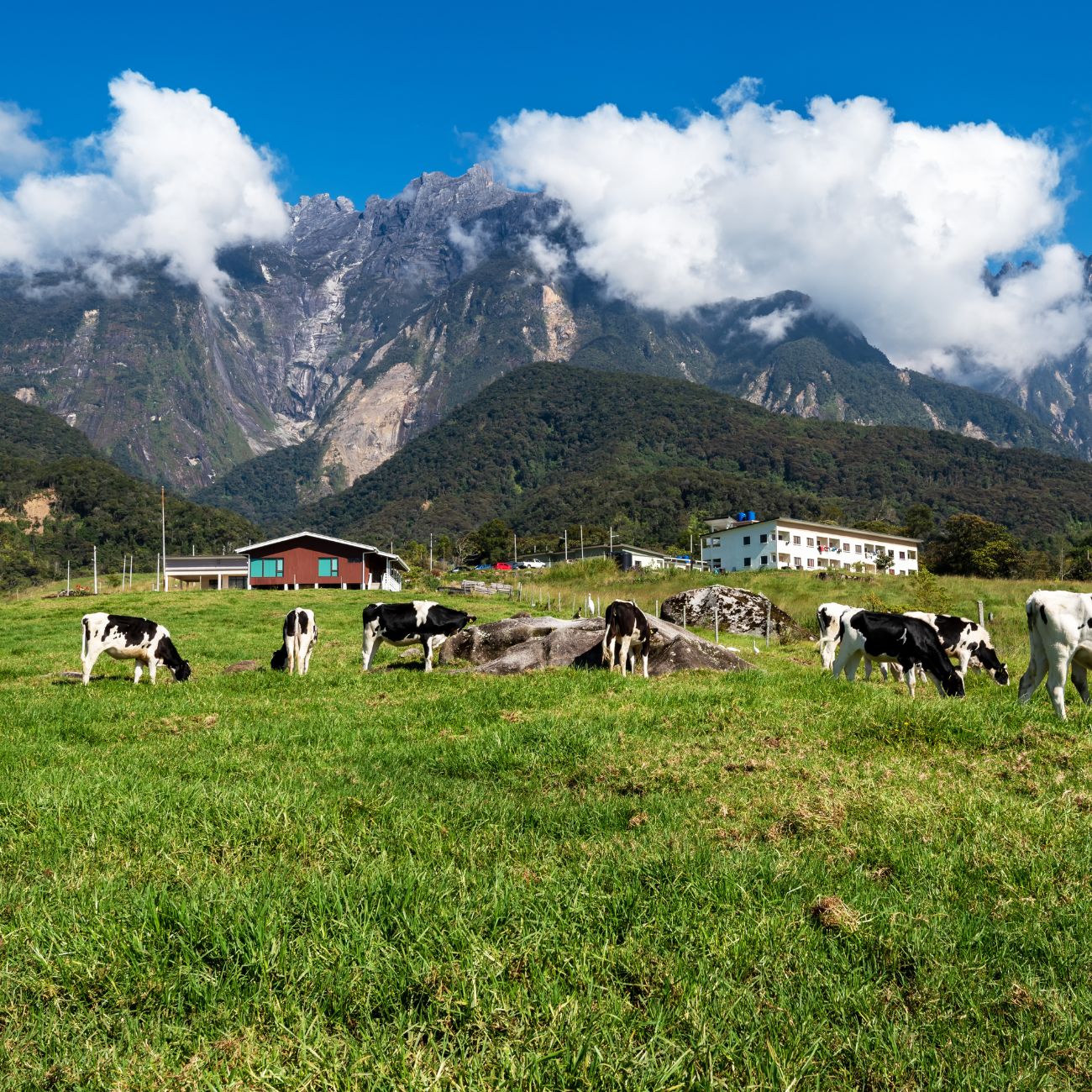 kota kinabalu image